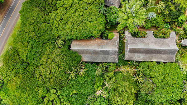 Welcome to the lush paradise of Waikomo Streams