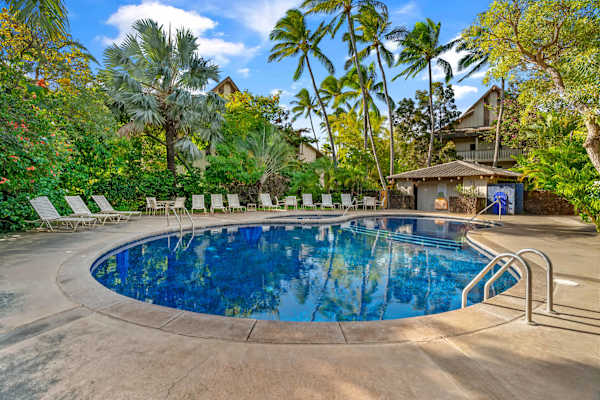 Relax and enjoy the Pool at Waikomo Streams