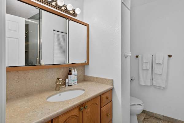 Bathroom vanity with mirrored cabinet and toilet area