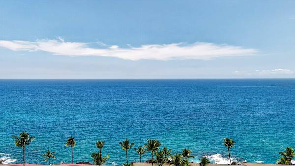 Panoramic ocean view framed by tropical palm trees and blue skies