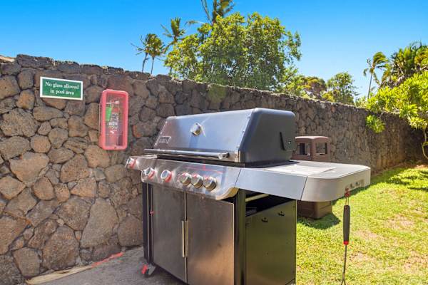 Stainless Steel Grill Set Against a Stone Wall with Palm Trees and Blue Sky