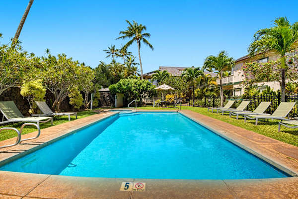 Long Lap Pool Lined with Palm Trees and Lounge Chairs