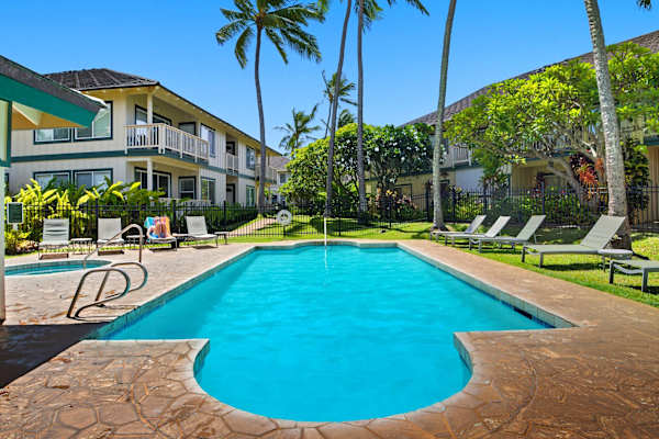 Resort Style Pool Surrounded by Palm Trees and Loungers