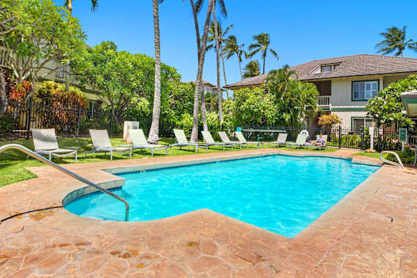 Tropical Pool with Loungers and Palm Tree Views