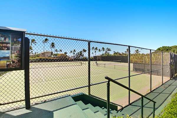 Fenced Tennis Court Entrance with Palm Tree Backdrop