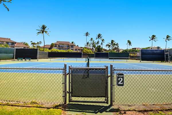 Community Tennis Courts with Palm Tree Skyline
