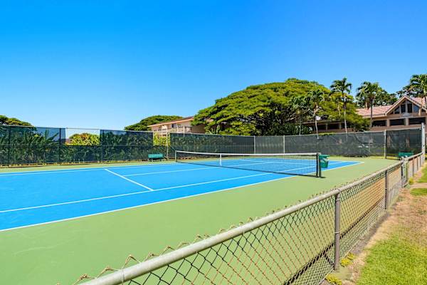 Blue and Green Tennis Court Surrounded by Tropical Trees