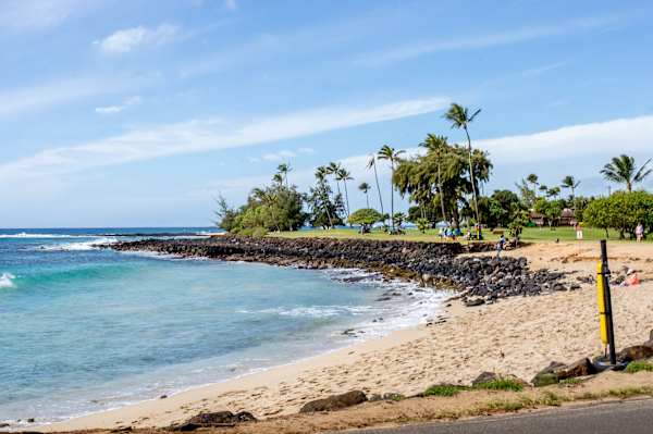 Sandy Beach Cove with Palm Trees and Rocky Shoreline