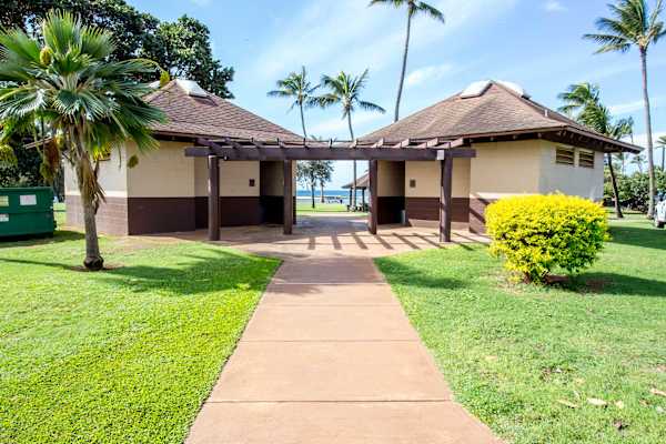 Beach Pavilion Walkway Framed by Palm Trees