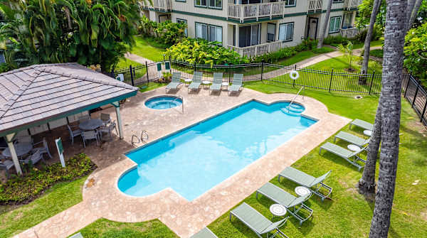 Aerial View of the Pool and Loungers Framed by Palms
