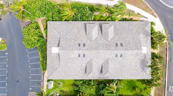 Bird's Eye View of the Rooftop and Surrounding Grounds