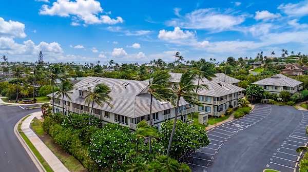 Aerial View of the Estate Surrounded by Palm Trees