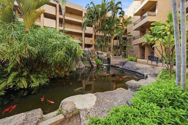 Paki Maui P302 - Oceanfront Condo