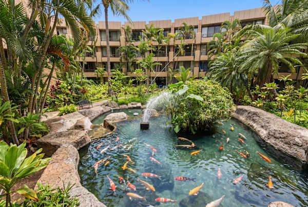 Paki Maui P302 - Oceanfront Condo