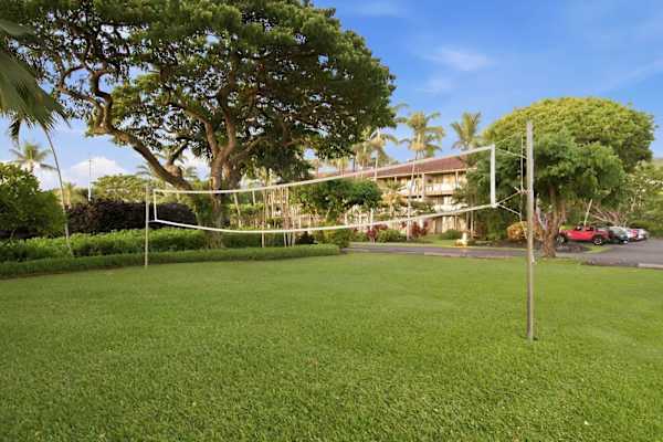 Volleyball net
