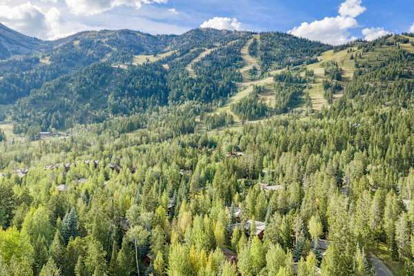 Abode at Riverstone, private hot tub, Jackson Hole Mountain Resort