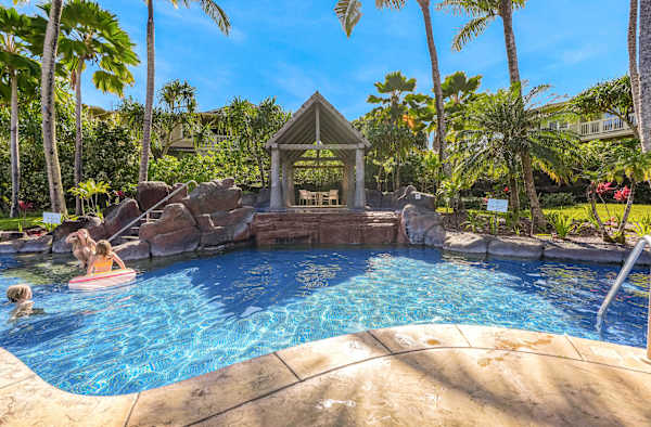 You'll love this pool and tropical paradise.