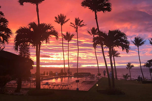 Mahina Surf 203