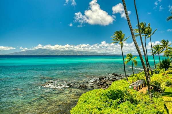 Mahina Surf 203