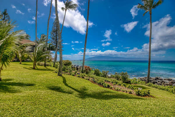 Mahina Surf 203