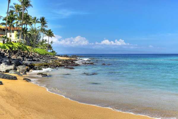 Mahina Surf 203