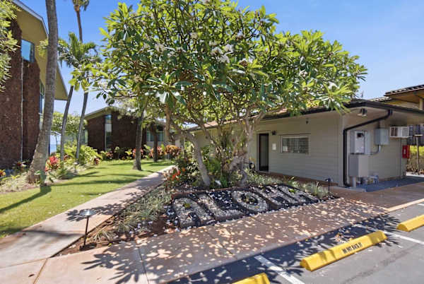 Mahina Surf 225