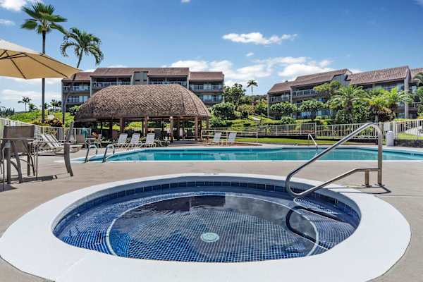 Resort swimming pool with hot tub and palm trees