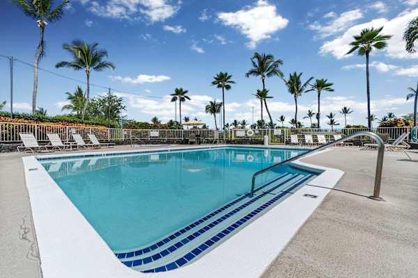 Outdoor swimming pool with palm tree views