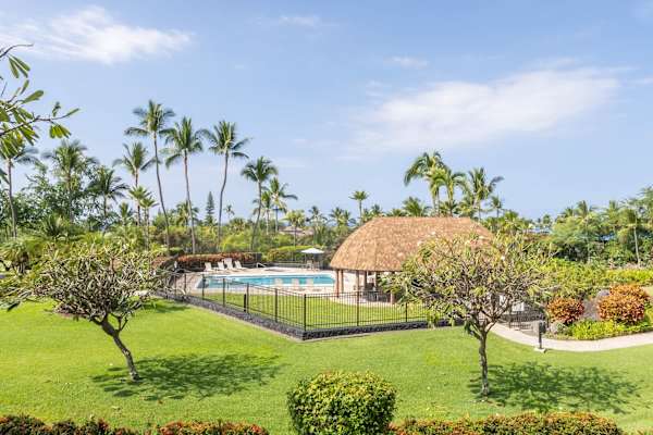 Scenic view of lawn and pool area with thatched hut