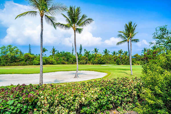 Keauhou Punahele A104