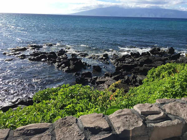 Mahina Surf 220