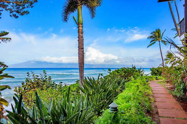 Mahina Surf 107