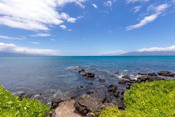Mahina Surf 119