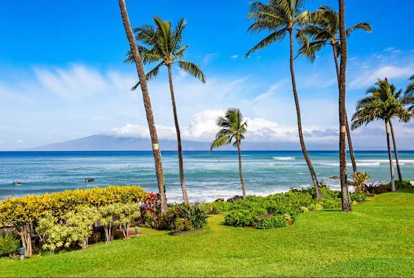 Mahina Surf 208