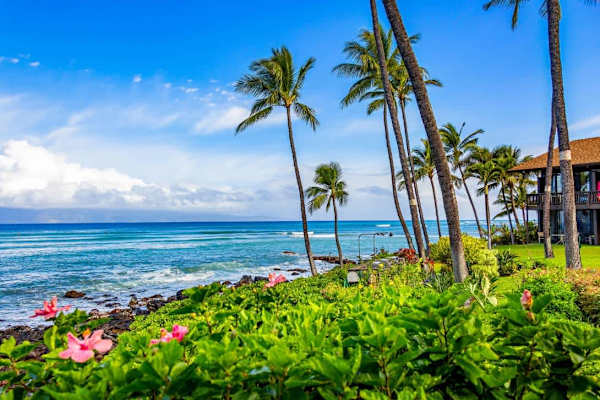 Mahina Surf 208