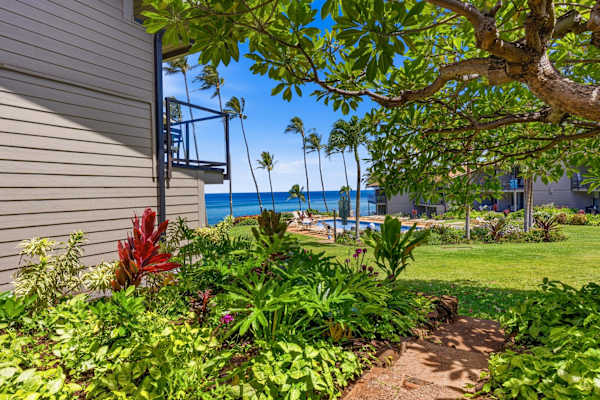 Mahina Surf 120