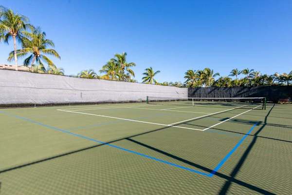 
Tennis Court with Pickleball Lines surrounded by Palm Trees