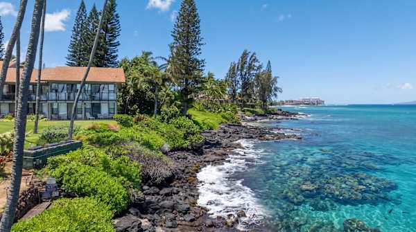 Mahina Surf 117 | One Bedroom Condo w/ Oceanview