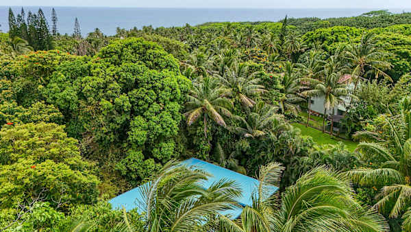 Tranquil Island Escape at Kehena Beach