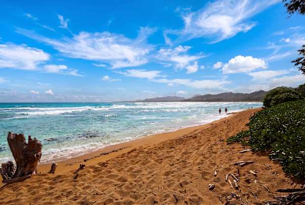 Islander on the Beach 370