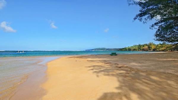 Sealodge at Princeville J3