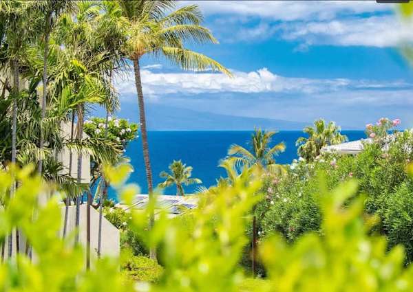 Maui Kamaole K205