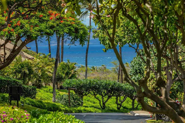 Maui Kamaole K205