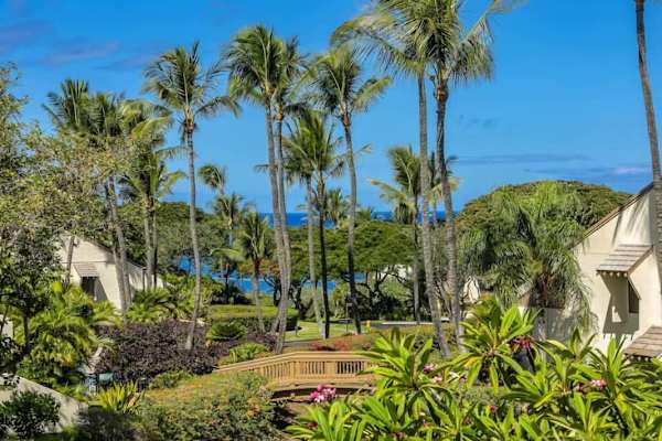 Maui Kamaole K205