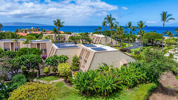 Maui Kamaole K205