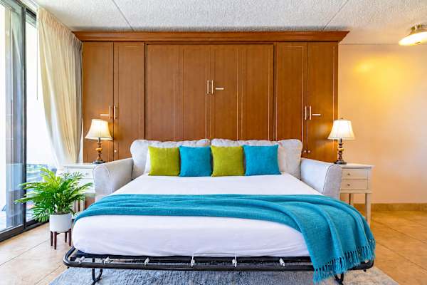 Queen-size pull-out sofa bed
