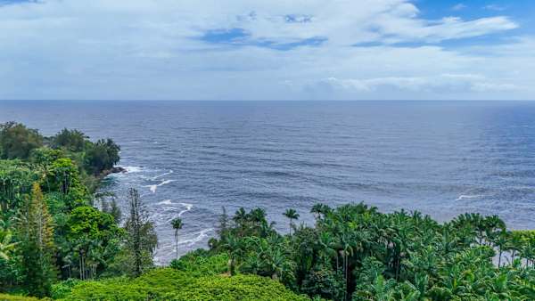 Big Island Hilo Tropical Oasis