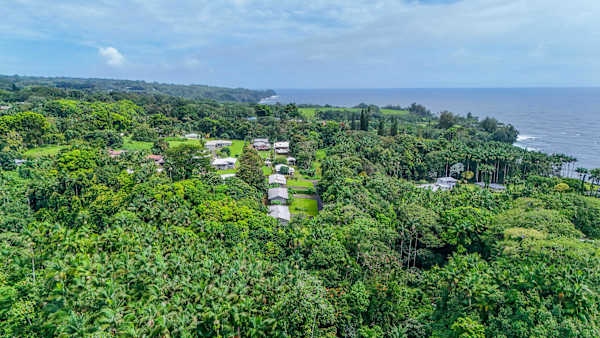 Big Island Hilo Tropical Oasis