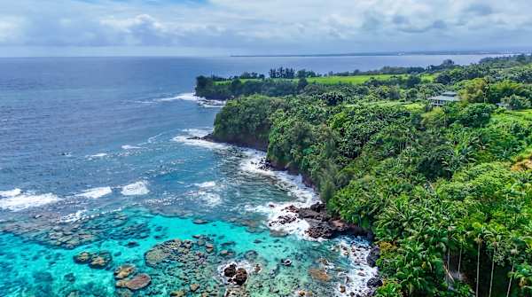 Big Island Hilo Tropical Oasis
