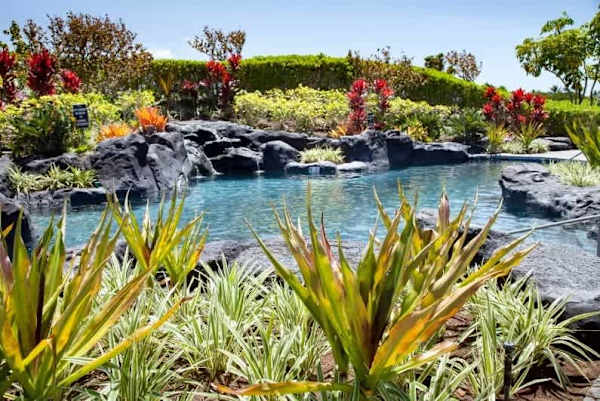 Waikoloa Beach Villas P4